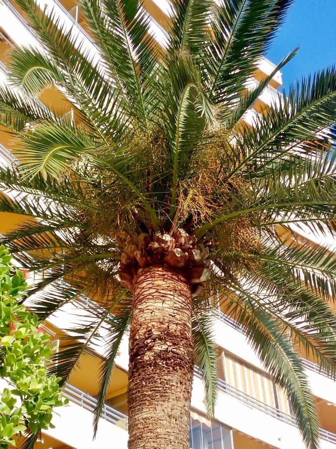 Voramar Daire Calp Dış mekan fotoğraf